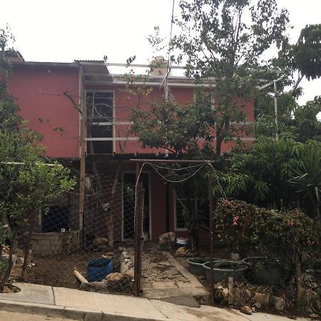 La Casa Del Nenufar Hotel Oaxaca Exterior photo