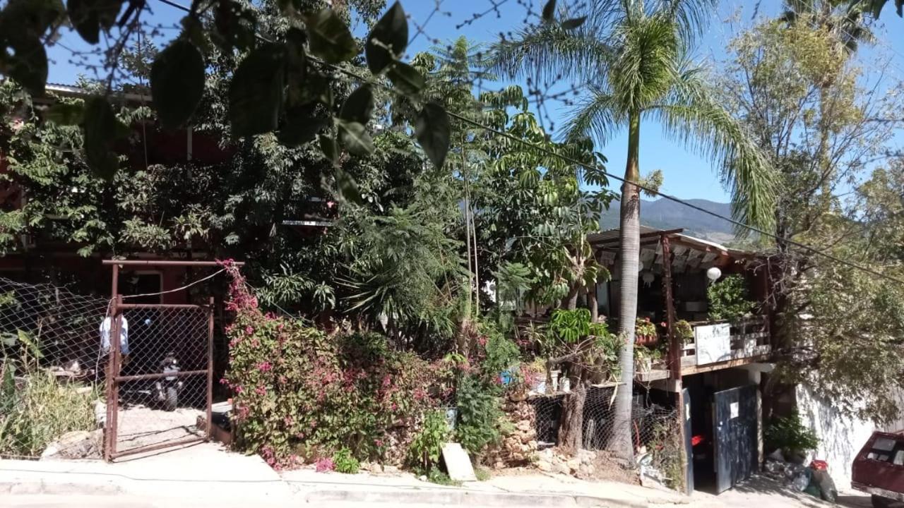 La Casa Del Nenufar Hotel Oaxaca Exterior photo
